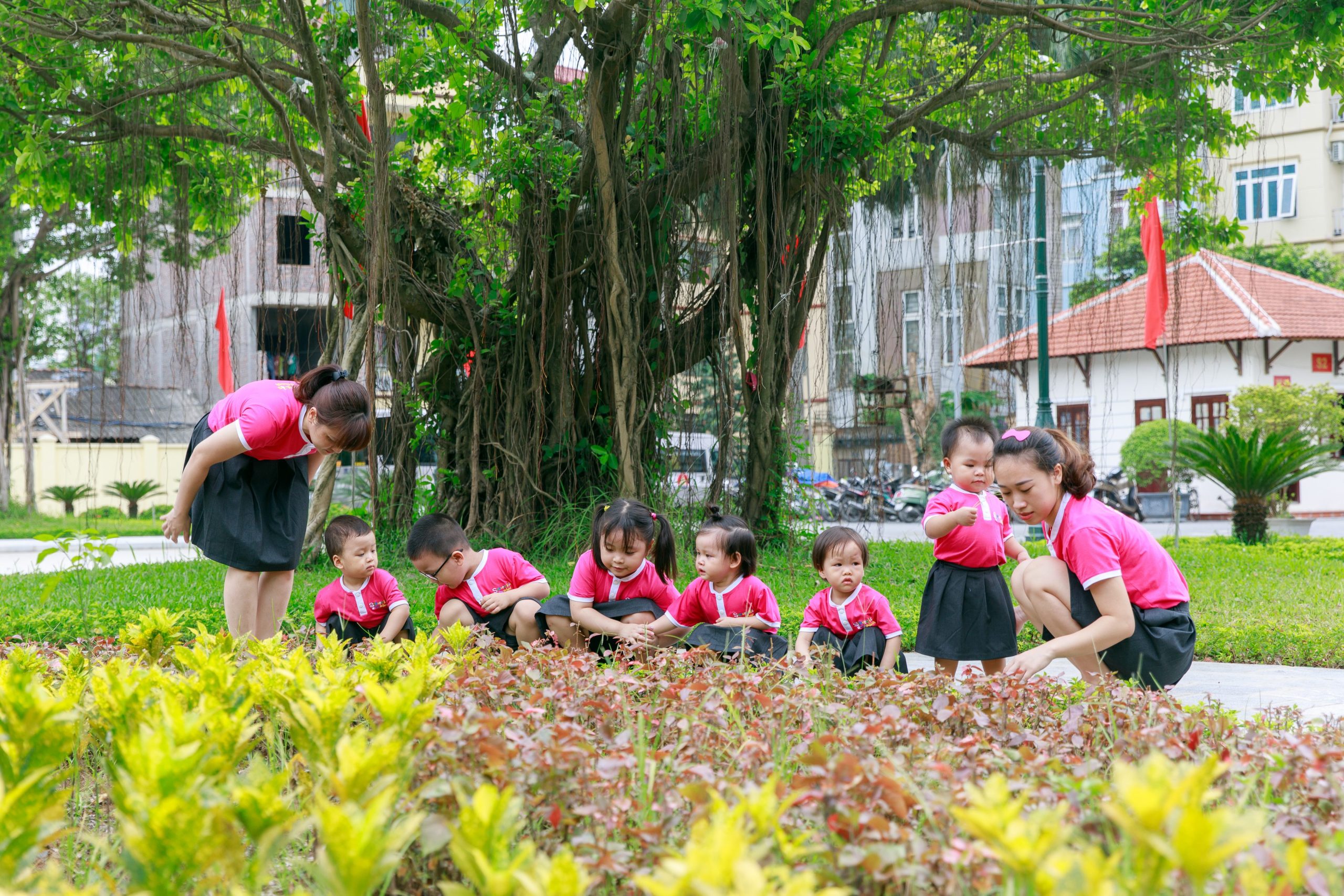 Sakura Kids – Mễ Trì
