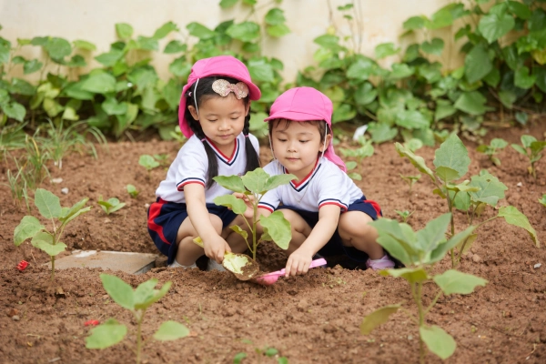 Tôn trọng sự khác biệt và tiềm năng của trẻ